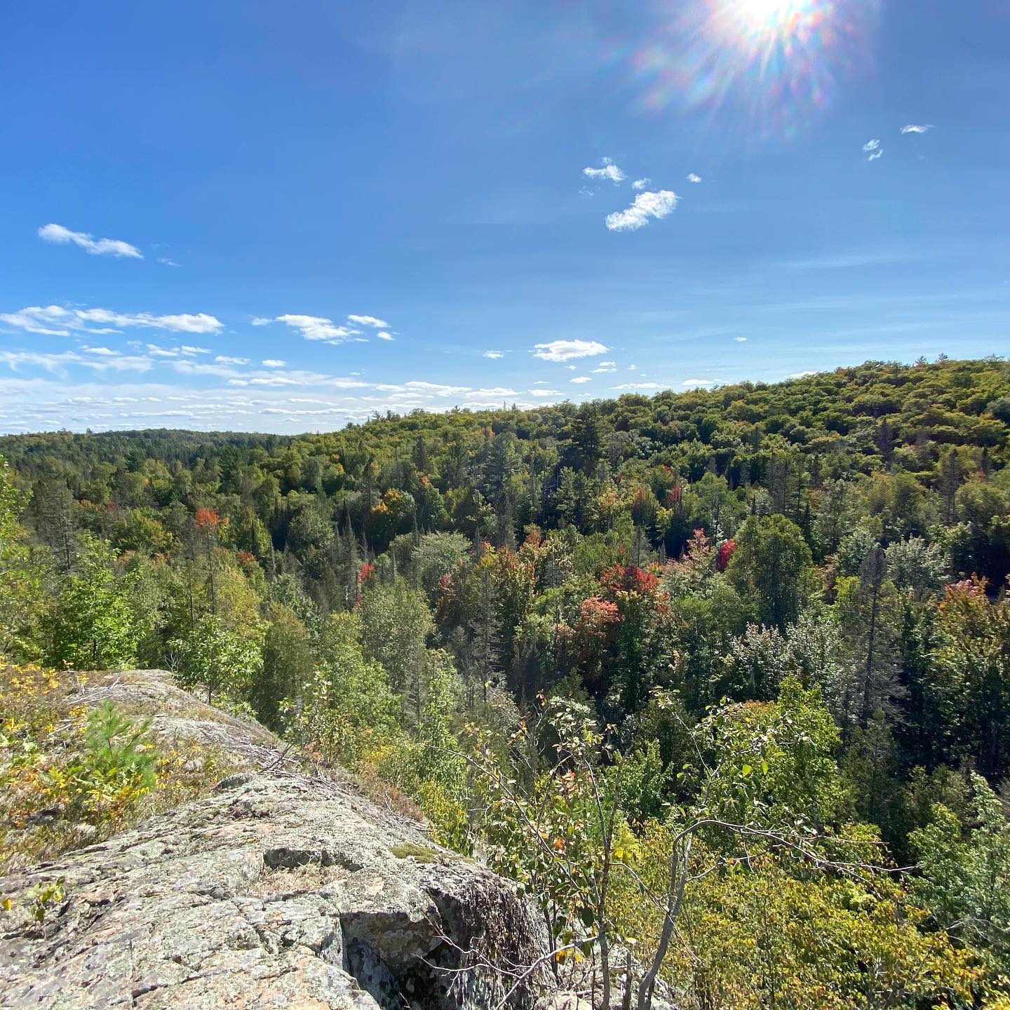 field survey McCormick wilderness