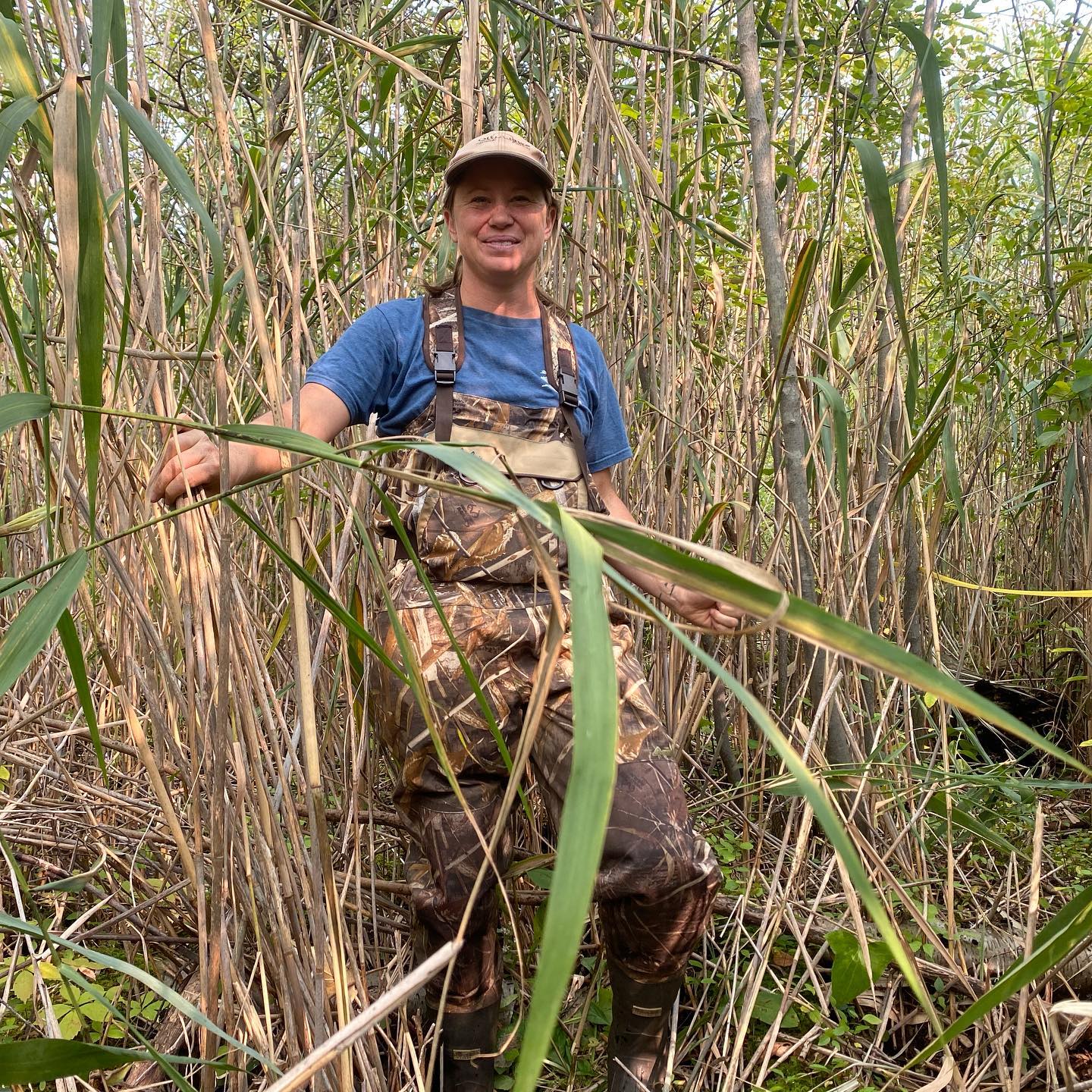 Assessing wetlands for the State of Michigan