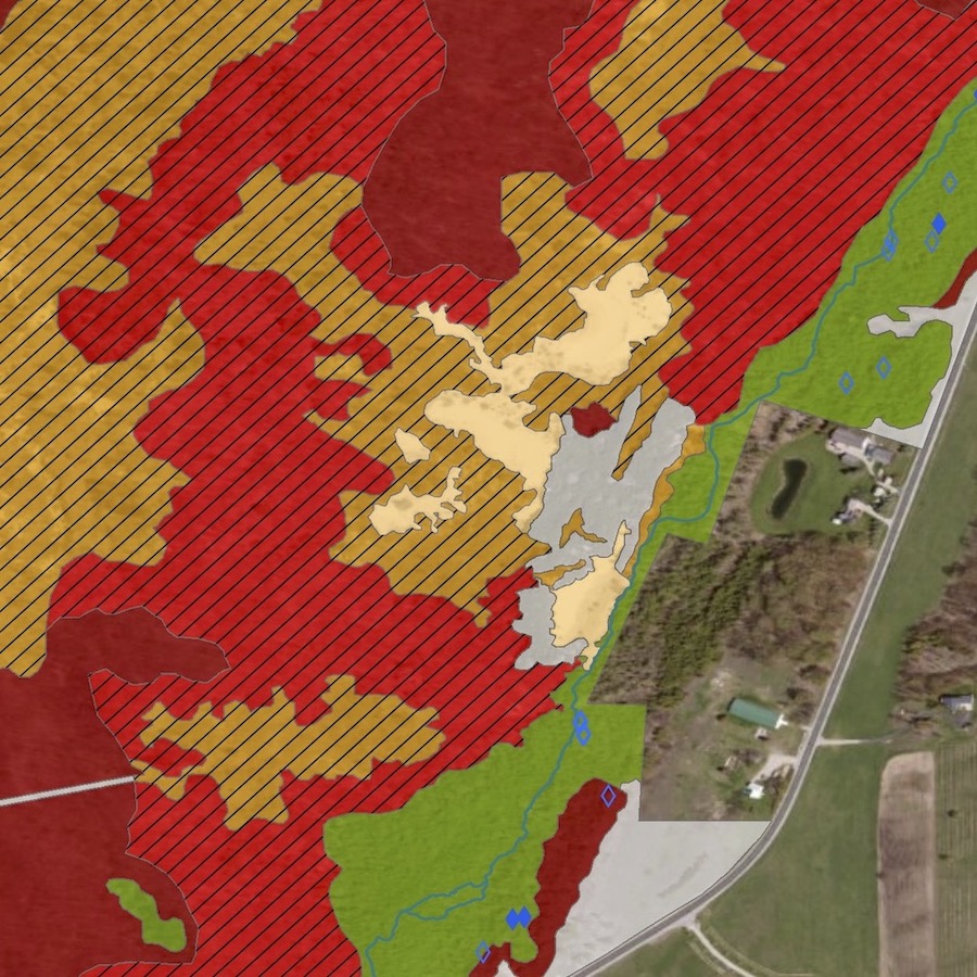 GIS map of a natural area using MNFI natural communities