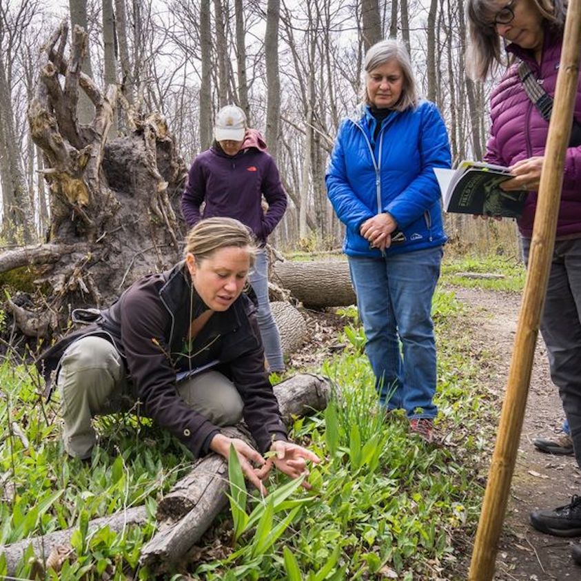 Spring Botany class at Clay Cliffs Natural Area