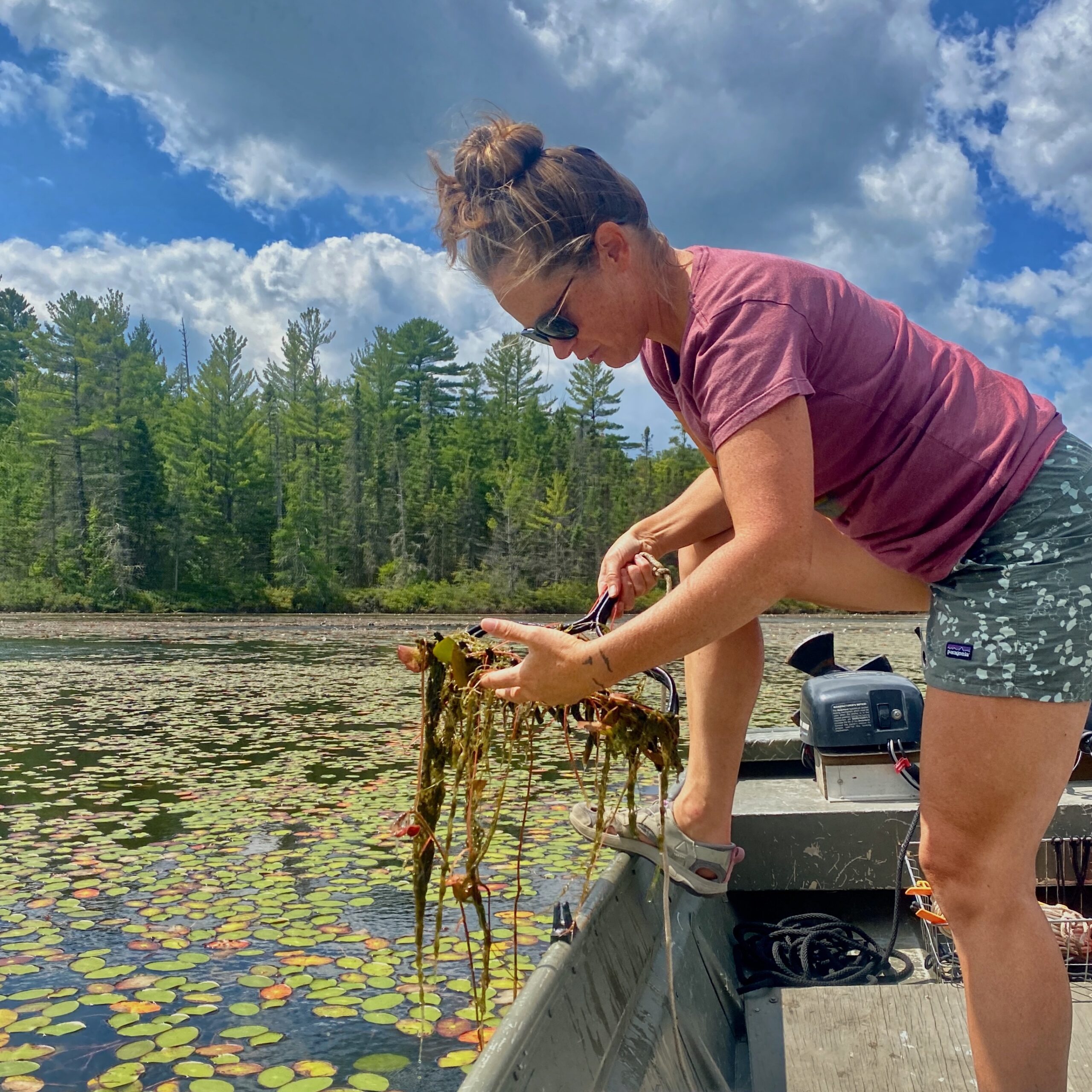 aquatic invasive species monitoring rake toss survey